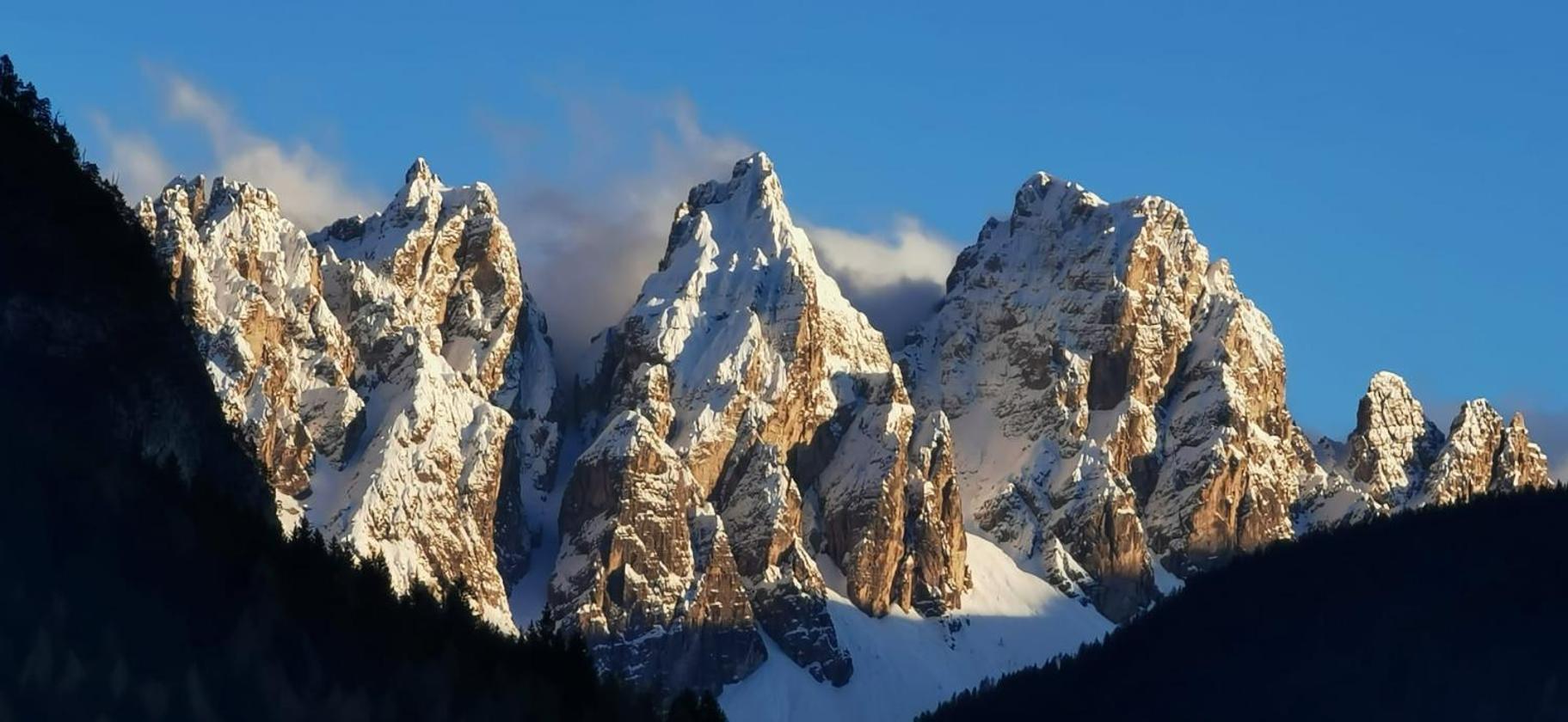 B&B SognoInCadore Domegge di Cadore Exterior foto