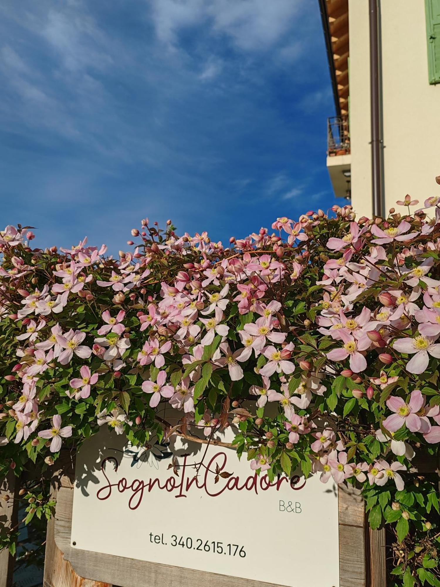 B&B SognoInCadore Domegge di Cadore Exterior foto
